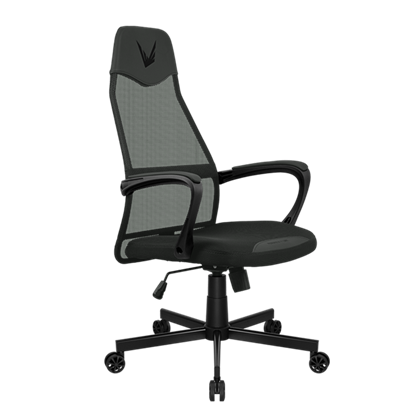 SILLA GAMING FORMULA V LINE ERGOLUX 1 NEGRO/GRIS 4711401665595