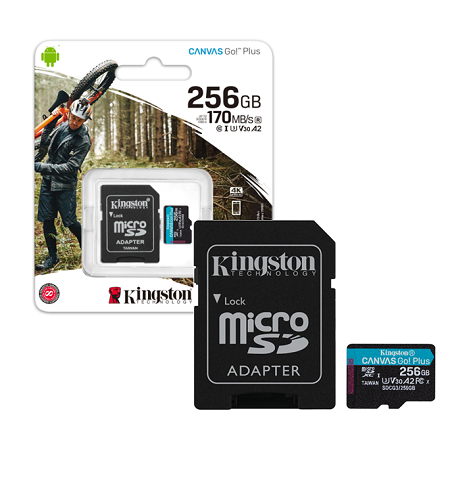 MEMORIA MICRO SD KINGSTON CANVAS GOPLUS SDCG3/256GB