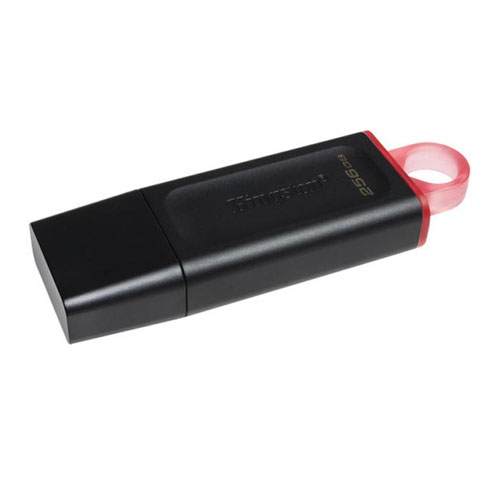 MEMORIA USB KINGSTON DATATRAVELER EXODIA 256GB DTX/256GB 