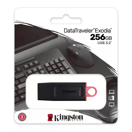 MEMORIA USB KINGSTON DATATRAVELER EXODIA 256GB DTX/256GB 