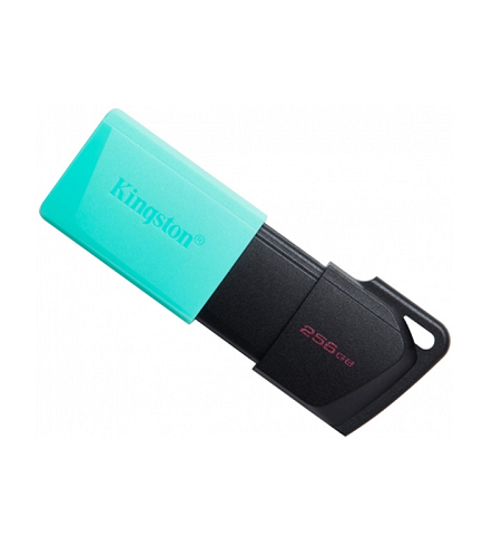 MEMORIA USB KINGSTON DATATRAVELER EXODIA M 256GB DTXM/256GB 